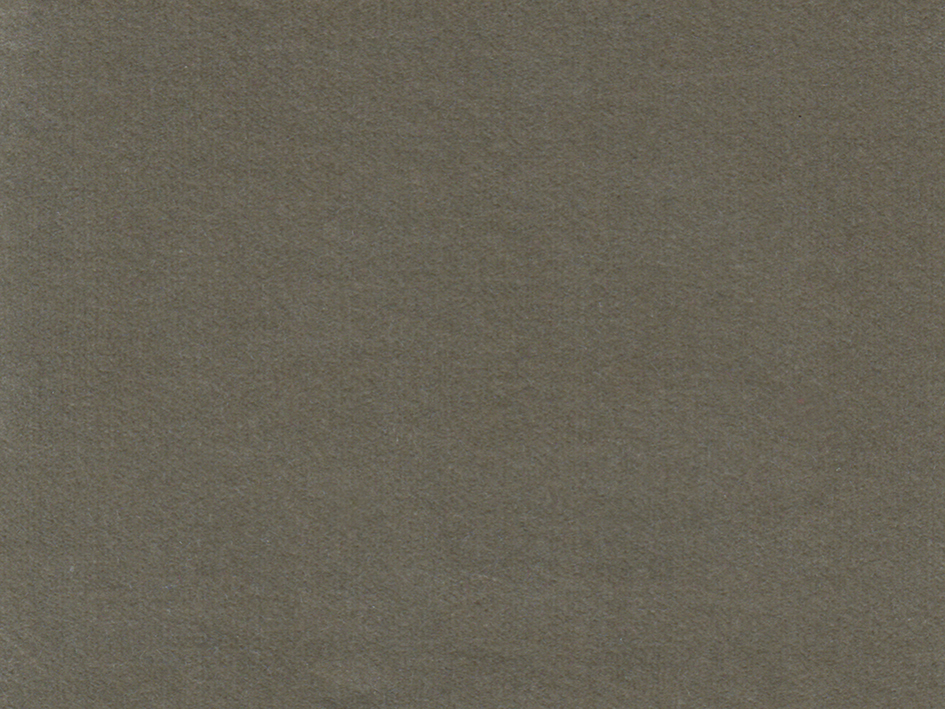 zoom colori INFROISSABLE NEW gabardine, gris